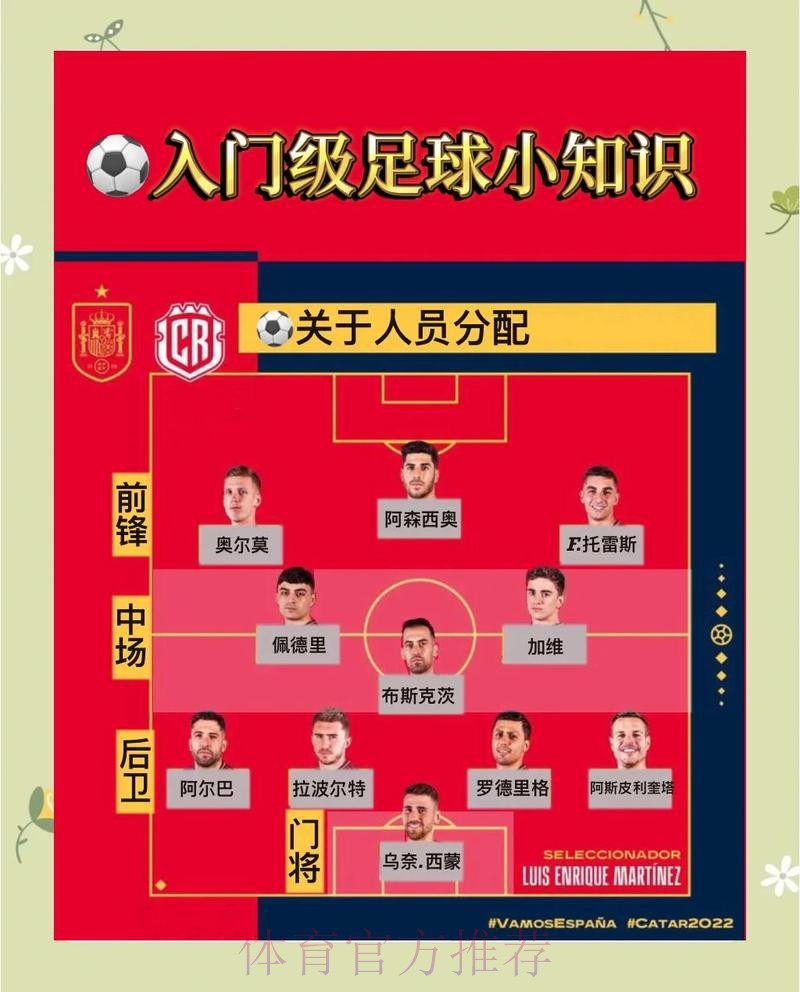 全面解析世界杯比赛预测策略与方法